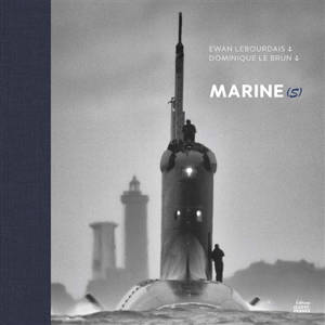 Marine(s) : dans le viseur du peintre officiel
