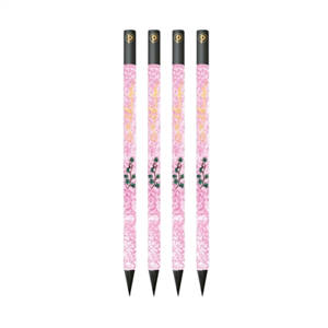 Crayon Astrid Lindgren, Fifi Brindacier Lot de 4