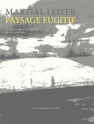 Paysage fugitif