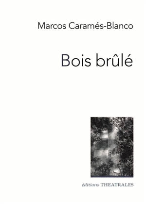 Bois brûlé