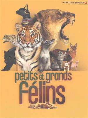 Petits et grands félins