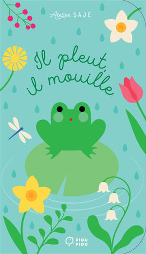 Il pleut, il mouille