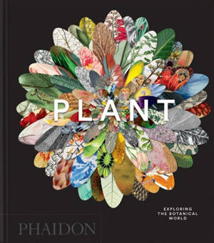 Plant : exploring the botanical world
