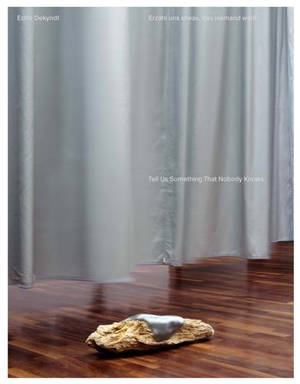 Edith Dekyndt Tell Us Something That Nobody Knows