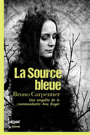 La source bleue : une enquête de la commandante Ana Boyer
