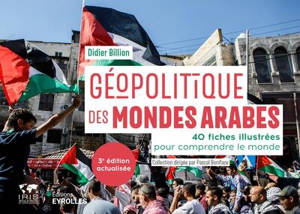 Géopolitique des mondes arabes : 40 fiches illustrées pour comprendre le monde