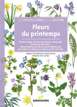 Fleurs des printemps : perce-neige, primevère élevée, jonquille, anémone des bois... : reconnaître les fleurs printanières par la couleur et découvrir leurs particularités