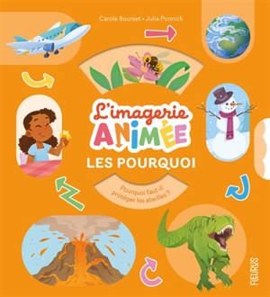 Les pourquoi