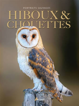 Hiboux & chouettes