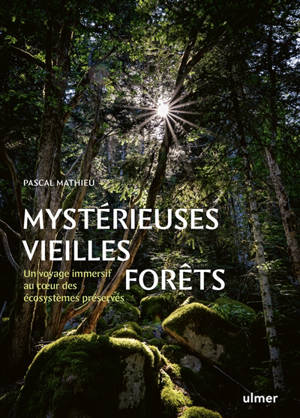 Mystérieuses vieilles forêts : un voyage immersif au coeur des écosystèmes préservés