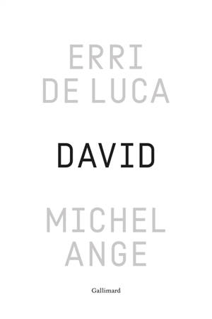 David, Michel-Ange : enquête sur une disproportion