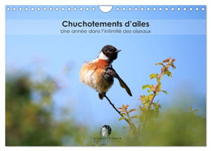 Chuchotements d'ailes : Une année dans l'intimité des oiseaux (Calendrier mural 2026 DIN A4 vertical), CALVENDO calendrier mensuel : Un calendrier poétique qui dévoile, mois après mois, la grâce et l’intimité des oiseaux dans la splendeur de leurs in
