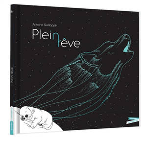 Plein rêve