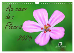Au cœur des fleurs (Calendrier mural 2026 DIN A4 vertical), CALVENDO calendrier mensuel : Une immersion délicate au plus près des pétales, où chaque fleur révèle sa beauté intime, ses couleurs vibrantes et la poésie cachée de la nature.