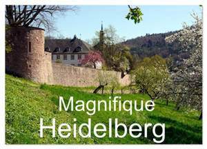 Magnifique Heidelberg (Calendrier mural 2026 DIN A3 vertical), CALVENDO calendrier mensuel : Un voyage dans le Heidelberg historique