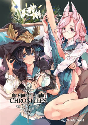 The maiden knight chronicles. Vol. 3