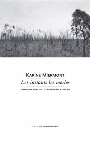 Les instants les merles
