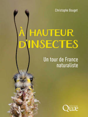 A hauteur d'insectes : un tour de France naturaliste