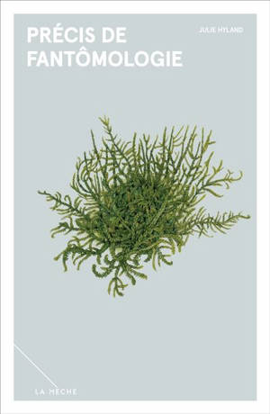 Précis de fantômologie