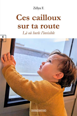 Ces cailloux sur ta route : là où hurle l'invisible