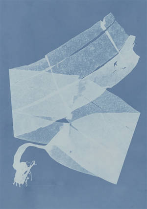 Herbier des mers : carnet