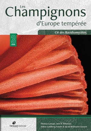 Les champignons d'Europe tempérée : clé des basidiomycètes