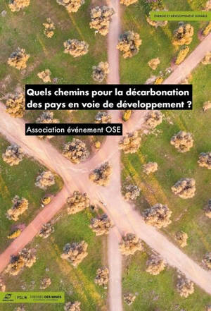 Quels chemins pour la décarbonation des pays en voie de développement ?