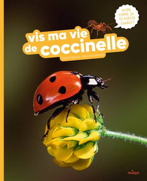 Vis ma vie de coccinelle