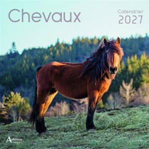 Chevaux : calendrier 2027