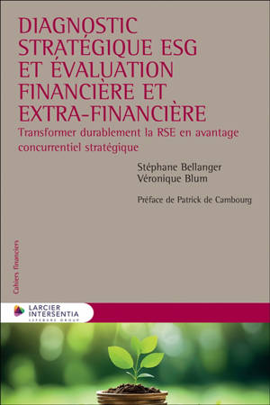Diagnostic stratégique ESG et évaluation financière et extra-financière : transformer durablement la RSE en avantage concurrentiel stratégique