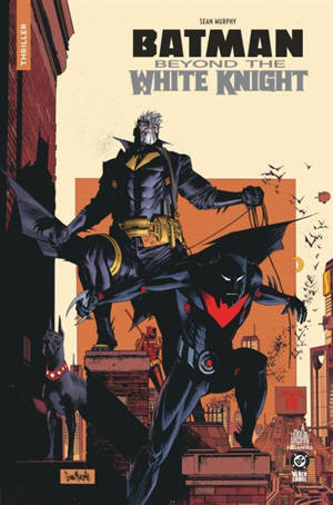 Batman : beyond the white knight