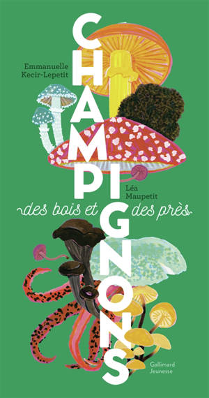Champignons des bois et des prés