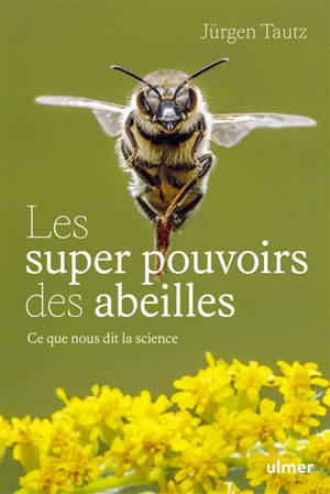 Les super-pouvoirs des abeilles : ce que nous dit la science