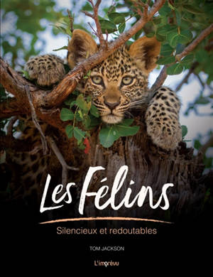 Les félins : silencieux et redoutables