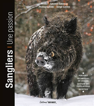 Sangliers : une passion