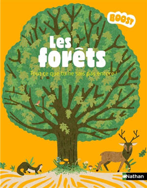 Les forêts : tout ce que tu ne sais pas encore !