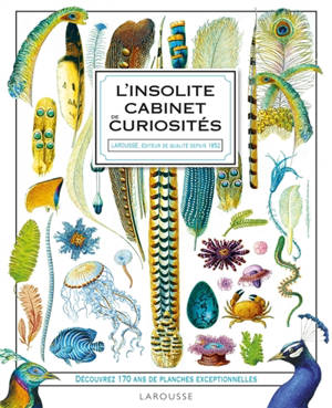 Insolite cabinet de curiosité