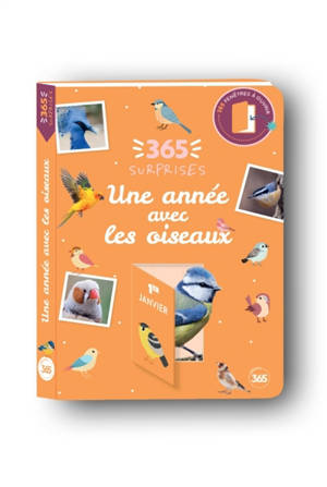 Une année avec les oiseaux