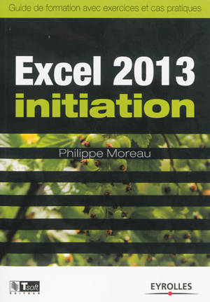 Excel 2013 initiation : guide de formation avec exercices et cas pratiques