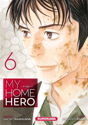 My home hero. Volume 6