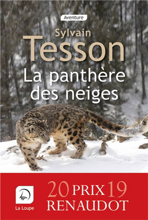 La panthère des neiges