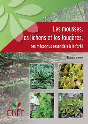 Les mousses, les lichens et les fougères : ces méconnus essentiels à la forêt