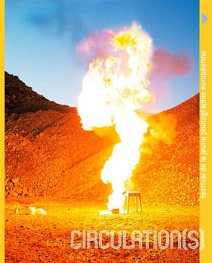 Circulation(s) : festival de la jeune photographie européenne 2020 : exposition, Paris, Le 104, du 14 mars au 10 mai 2020