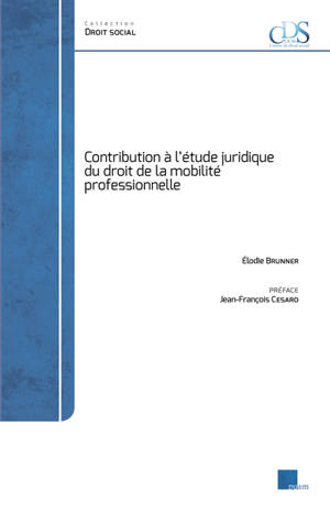 Contribution à l'étude juridique du droit de la mobilité professionnelle