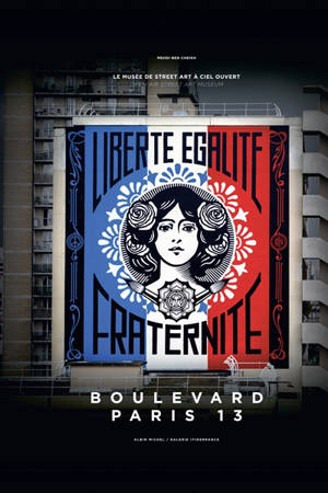 Boulevard Paris 13 : le musée de street art à ciel ouvert = Boulevard Paris 13 : open air street art museum