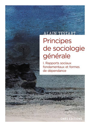 Principes de sociologie générale. Volume 1, Rapports sociaux fondamentaux et formes de dépendance