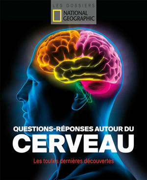 Questions-réponses autour du cerveau : les toutes dernières découvertes