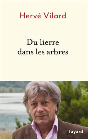 Du lierre dans les arbres
