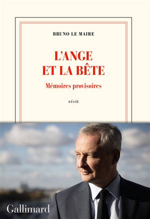 L'ange et la bête : mémoires provisoires