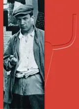 La collection du Musée national Picasso, Paris (en anglais)